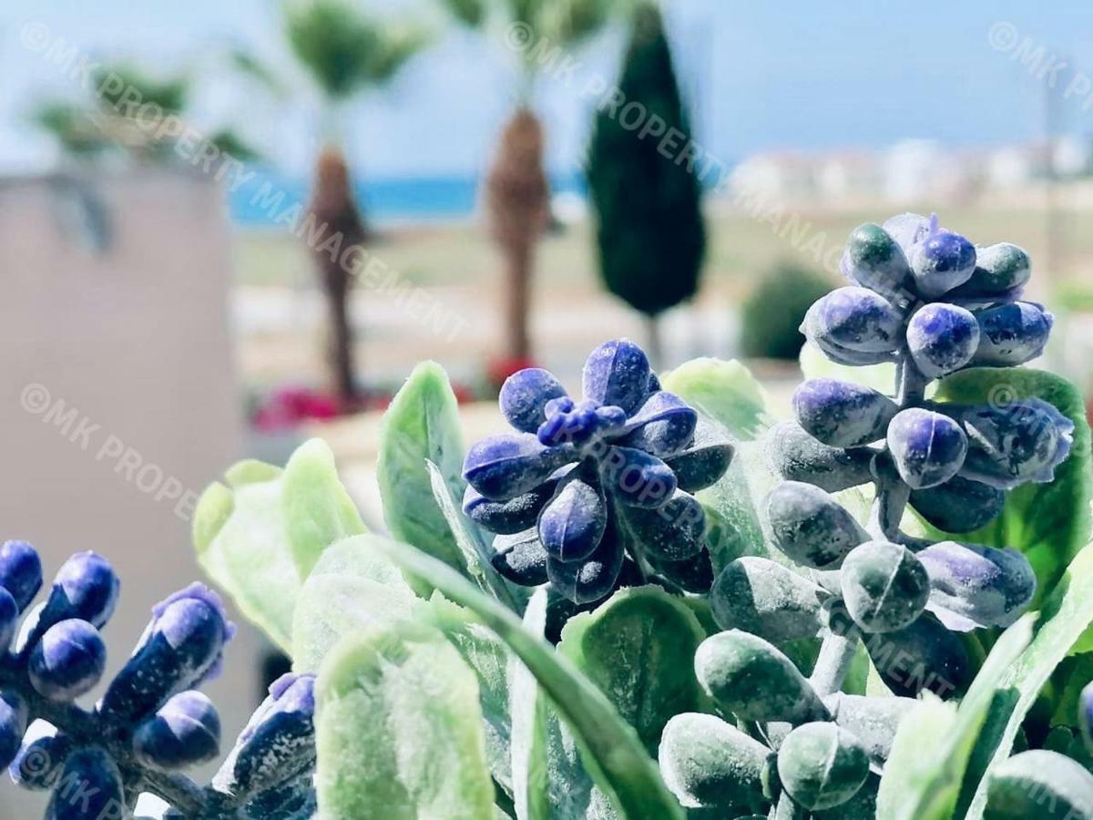 Lysia Sea-View Apartment Larnaca Bagian luar foto